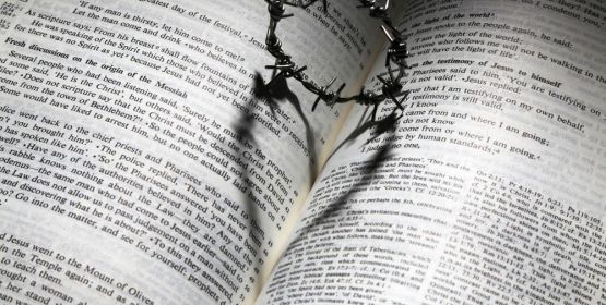 Derecho penal, procedimientos